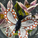 William Manson 2024 Art Glass Paperweight Compound Flamework Butterfly with Pink Flowers 1 of 1