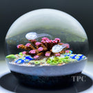 Cathy Richardson 2007 Glass Art Paperweight Flamework Coral Reef with Pair of Jellyfish