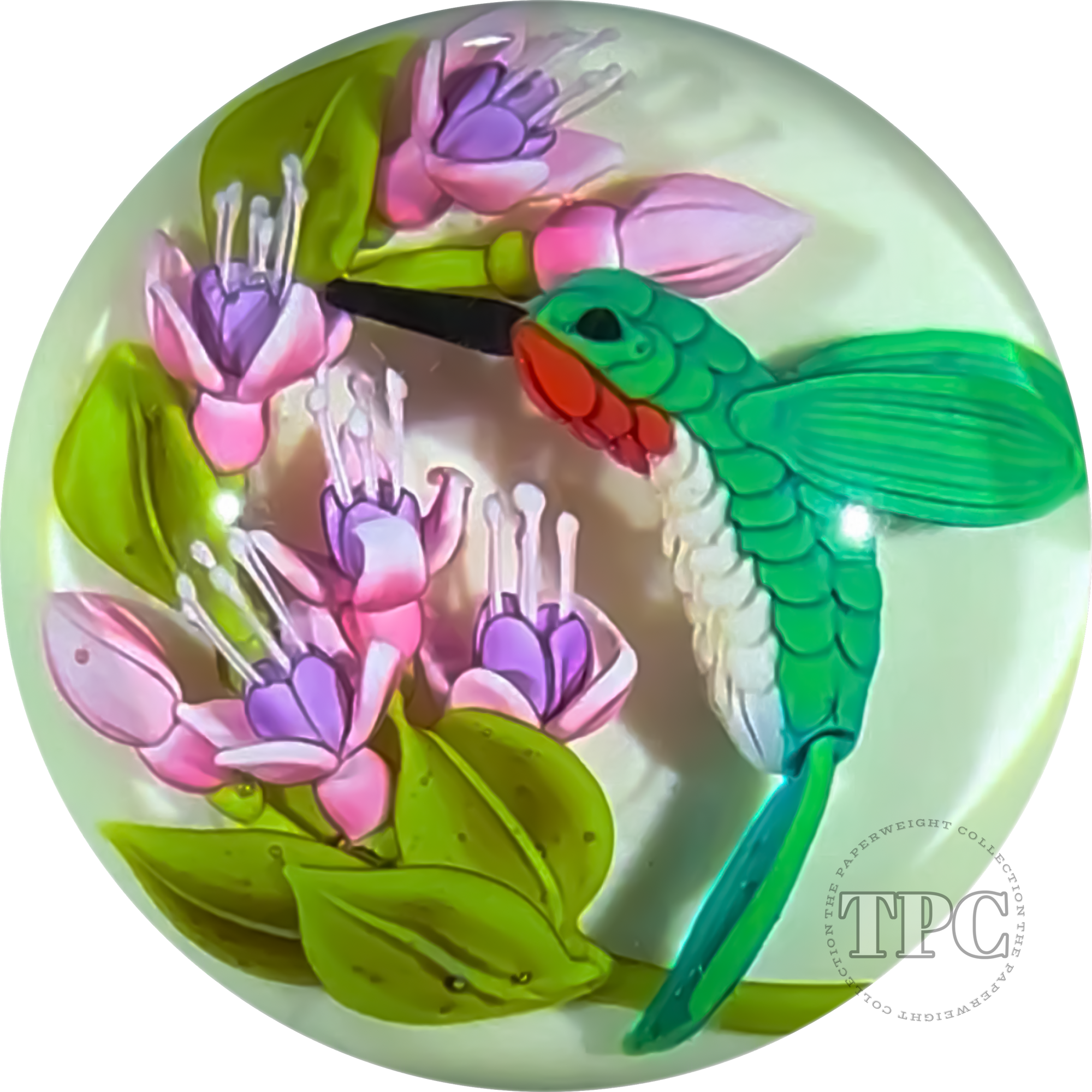 Clinton Smith 2024 Glass Art Marble  Double Sided Flamework Hummingbird and Monitor Lizard