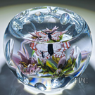 William Manson 2024 Art Glass Paperweight Compound Flamework Butterfly with Pink Flowers 1 of 1