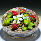 Gordon Smith 1995 Glass Art Paperweight Flamework Strawberries on Upset Straw Ground