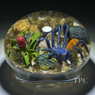 Gordon Smith 2012 Glass Art Paperweight Flamework Ecuadorian Blue Tarantula Spider