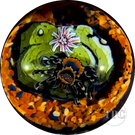 Stephen Boehme 2024 Glass Art Marble w/ Figural Murrine Trantula with Lophophora & Desert Owl with Cacti