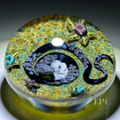 William Manson 2024 Glass Art Paperweight Flamework Coiled Snake with Eggs