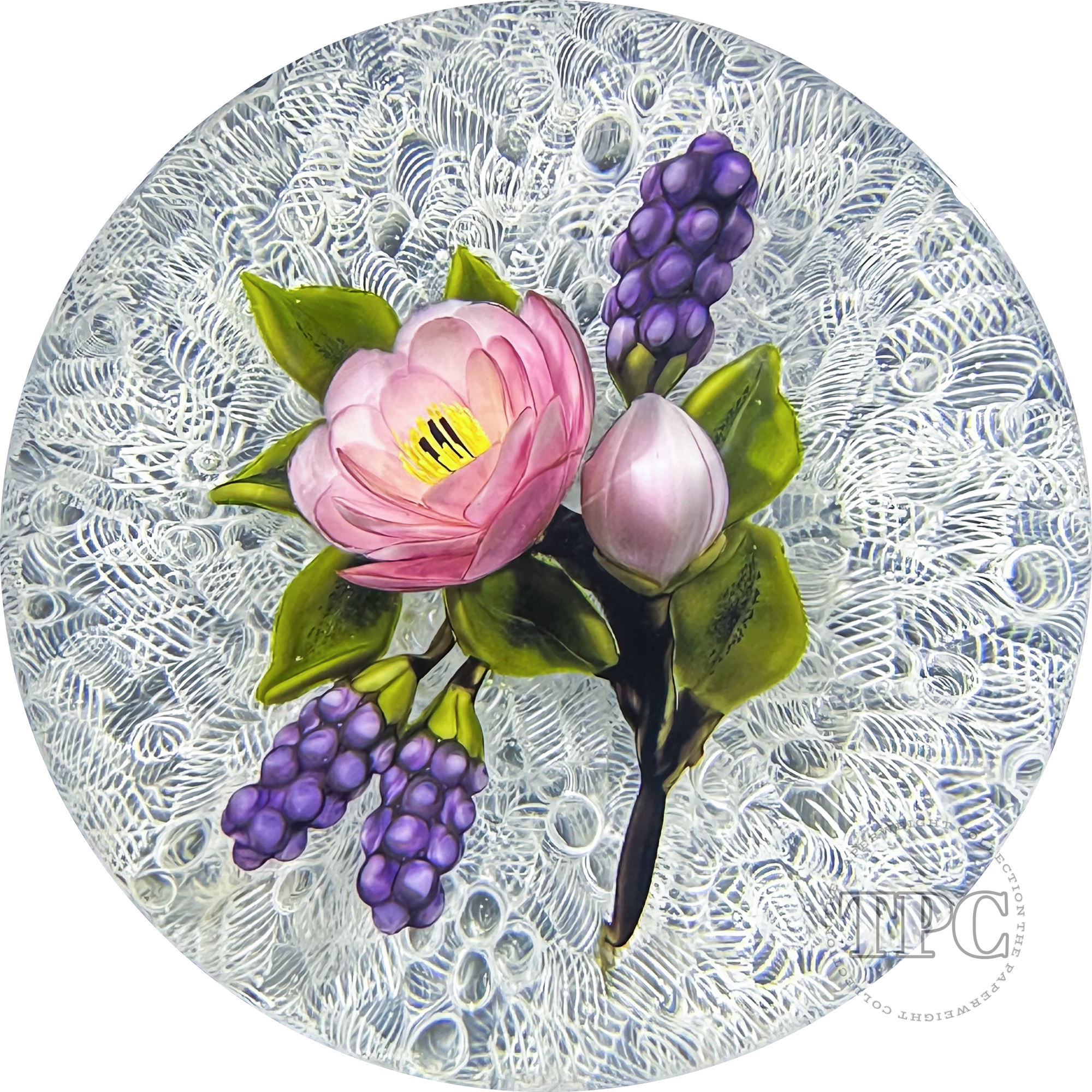 David & Jon Trabucco 1997 Glass Art Paperweight Flamework China Rose with Blackberries