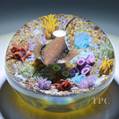 William Manson 2024 Art Glass Paperweight Compound Flamework Aventurine Stingray & Ocean Floor