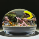 Gordon Smith 2003 Glass Art Paperweight Flamework Coral Reef Scene with Wrasse Fish & Shell Fragments