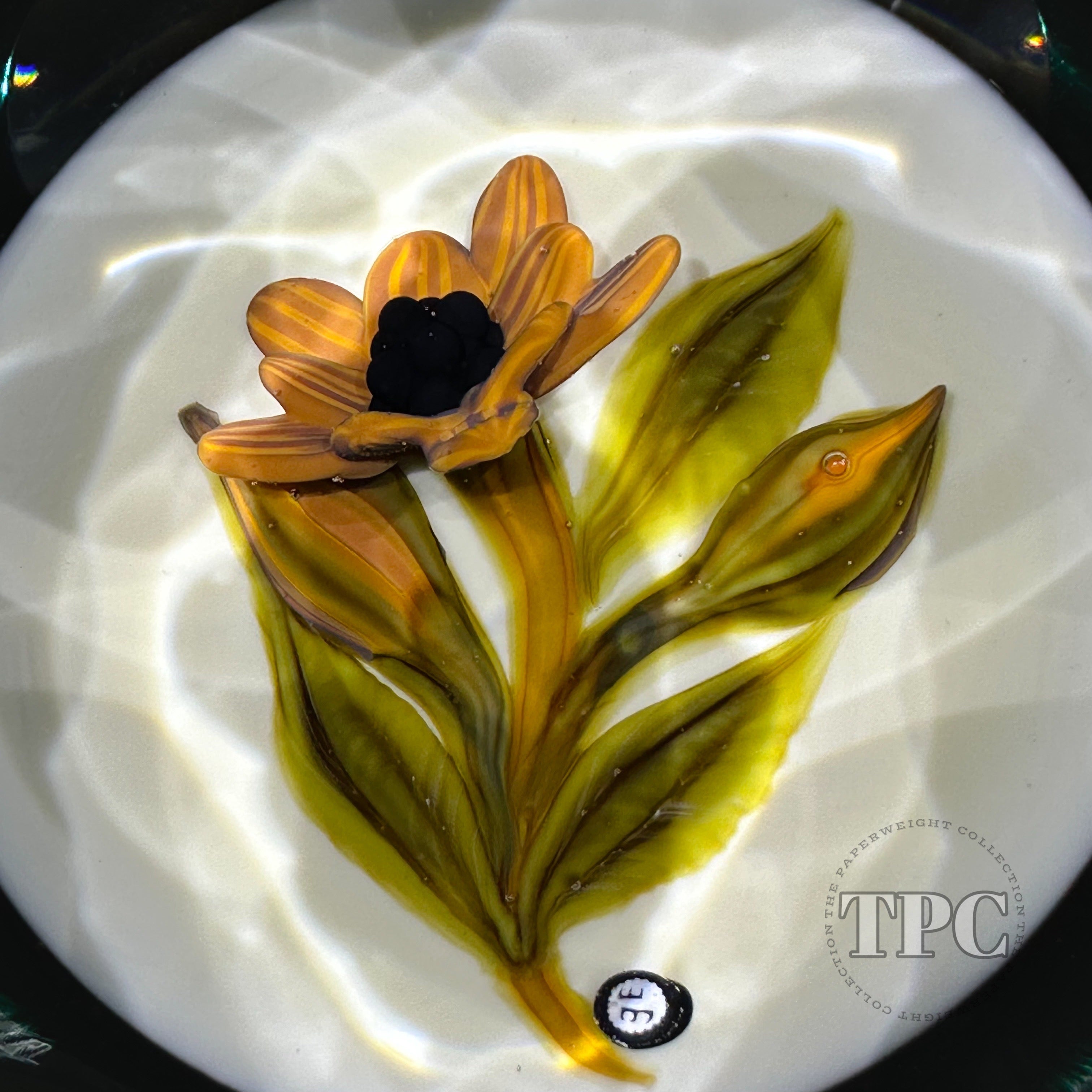 William Manson 2023 Faceted Art Glass Paperweight Flamework Yellow Dai