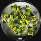 Clinton Smith 2024 Glass Art Marble All-Over Flamework Honeybee Swarm