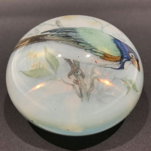 Art Glass Fused Bird Tile Dodo? Paperweight Tile 2 1/2 Square