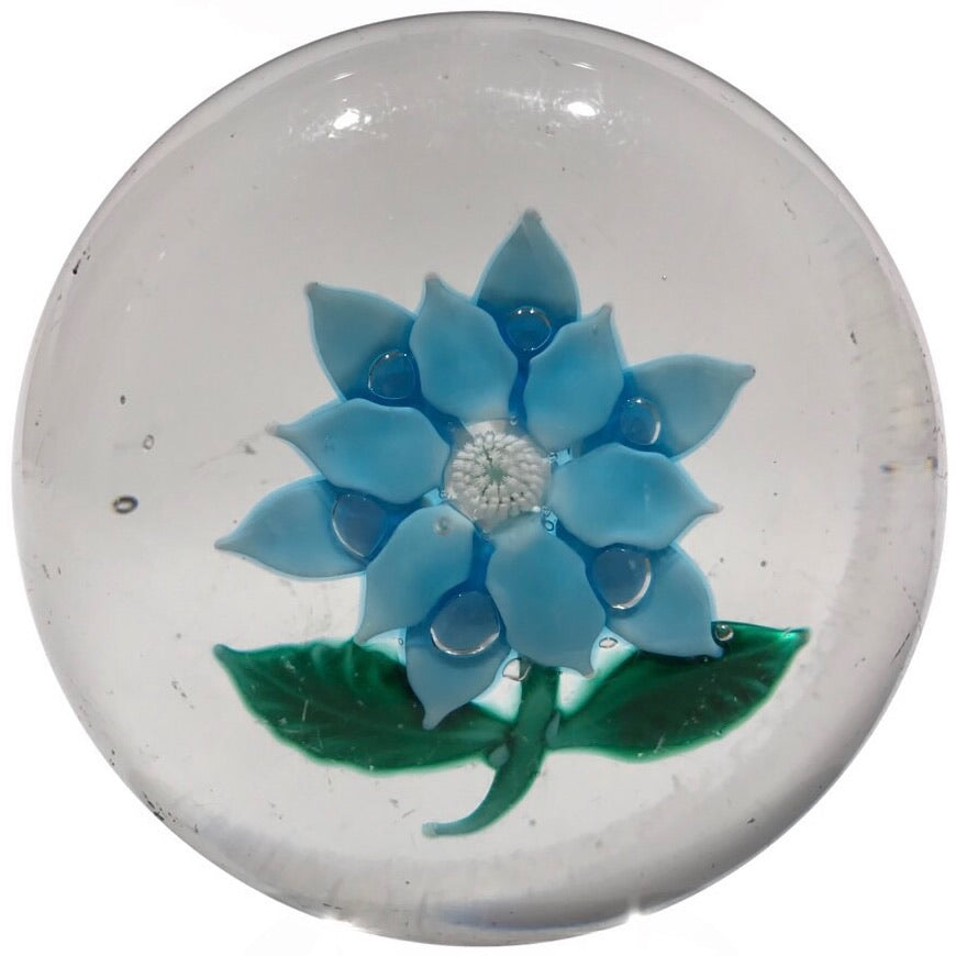 Antique Boston & Sandwich Art Glass Paperweight Lampwork Blue Poinsettia